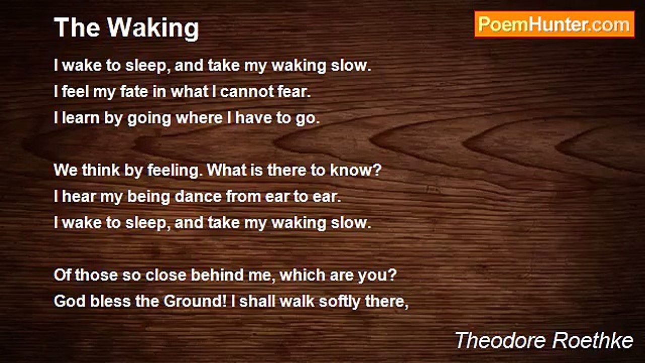 Theodore Roethke - The Waking