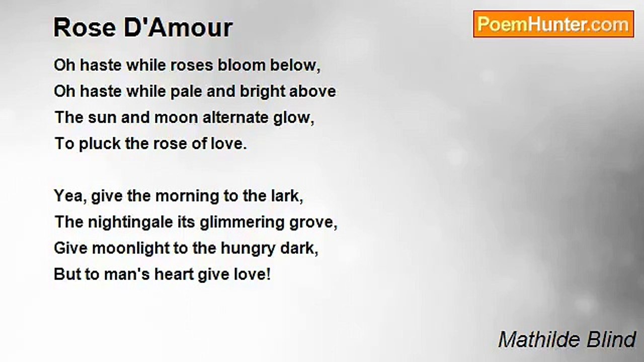 Mathilde Blind - Rose D'Amour