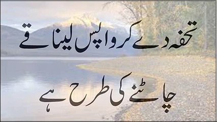 Tohfa De Kar Wapas Lena Qay Chatnay ke Tarah Hai