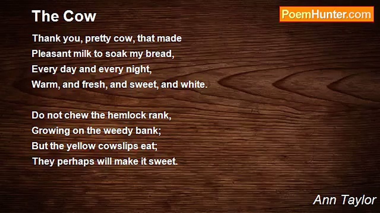 Ann Taylor - The Cow