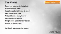 Jane Taylor - The Violet