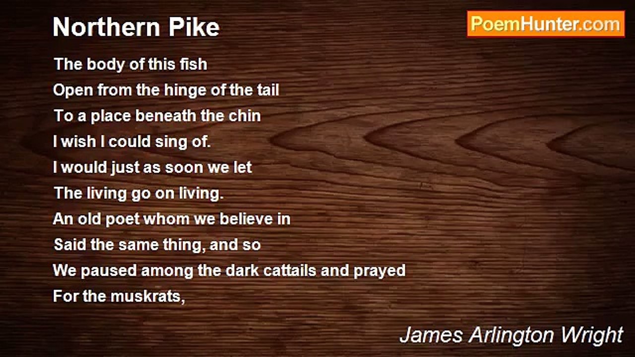 James Arlington Wright - Northern Pike