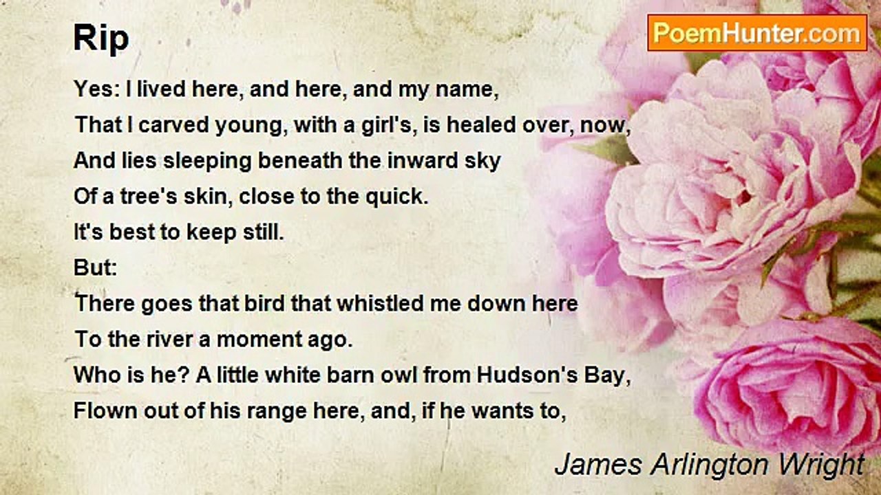 James Arlington Wright - Rip