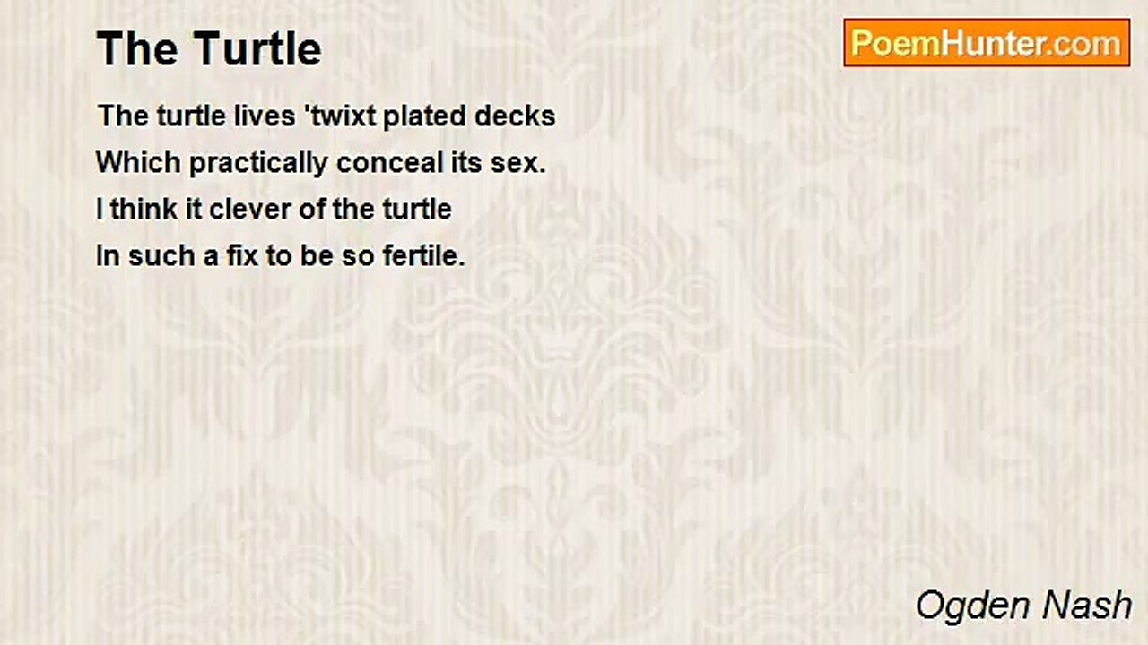 Ogden Nash - The Turtle