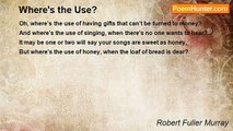 Robert Fuller Murray - Where's the Use?