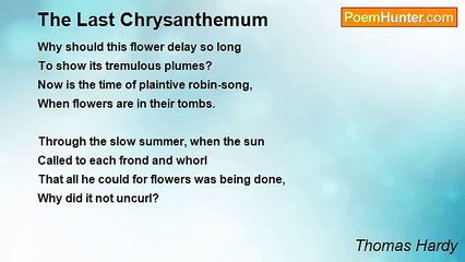 Thomas Hardy - The Last Chrysanthemum