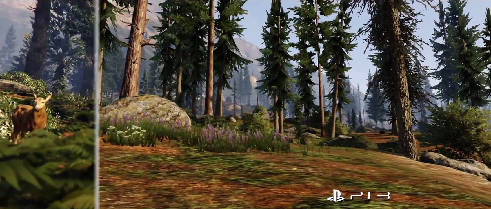 Graphismes GTA V - PS3 VS PS4