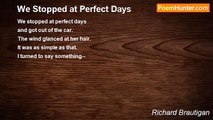 Richard Brautigan - We Stopped at Perfect Days