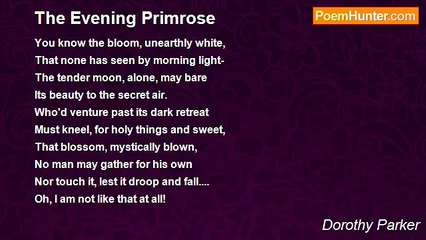 Dorothy Parker - The Evening Primrose
