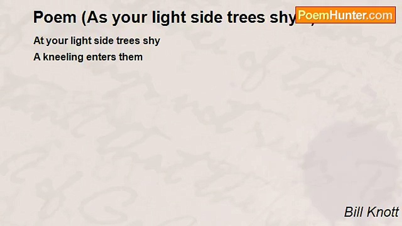 Bill Knott - Poem (As your light side trees shy...