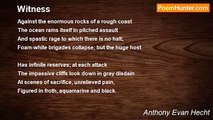 Anthony Evan Hecht - Witness