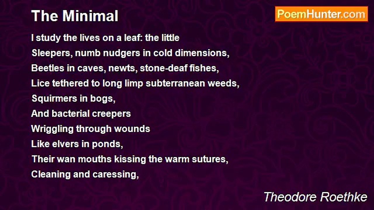 Theodore Roethke - The Minimal