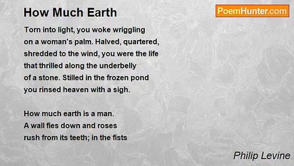 Philip Levine - How Much Earth