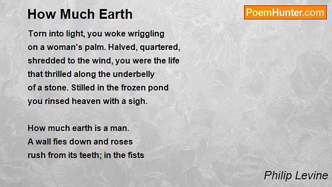 Philip Levine - How Much Earth