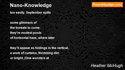 Heather McHugh - Nano-Knowledge