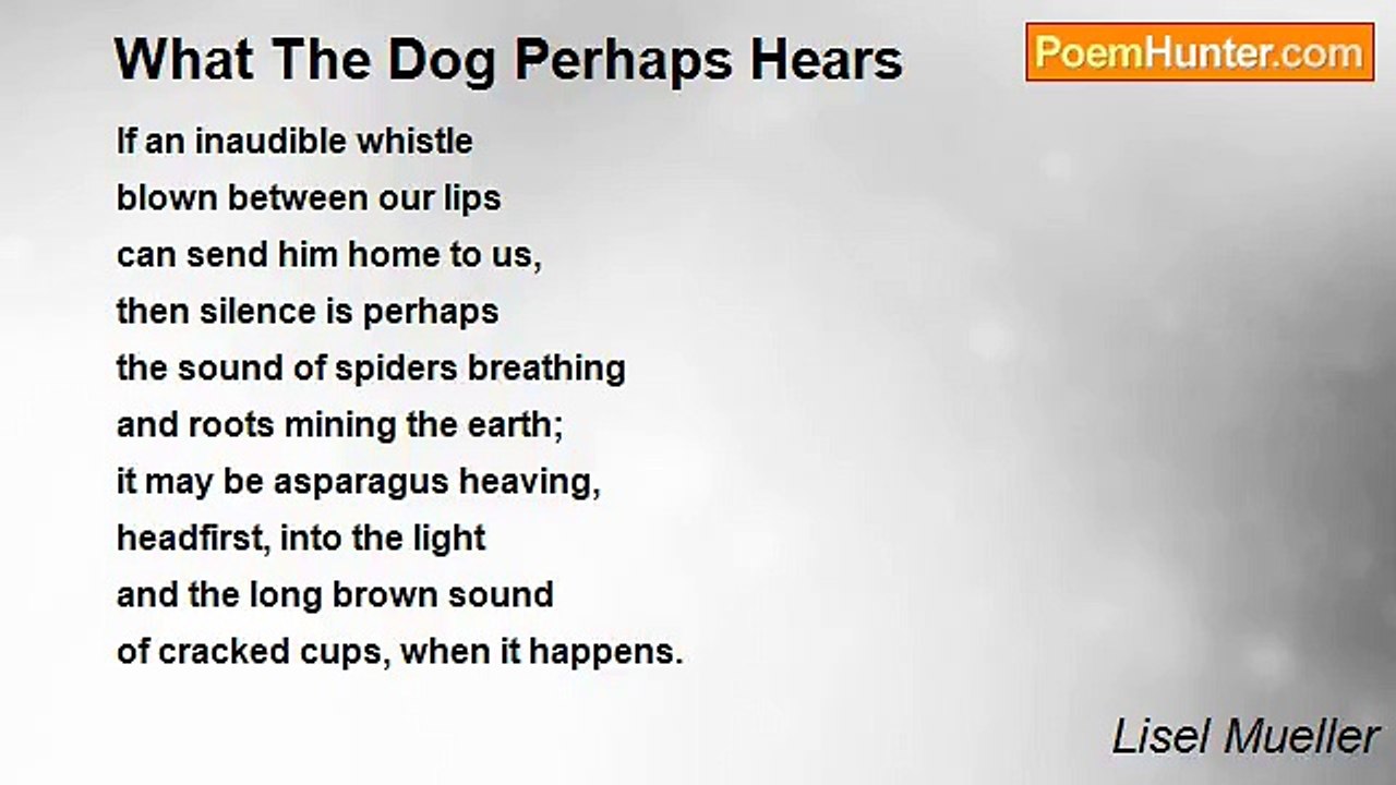 Lisel Mueller - What The Dog Perhaps Hears