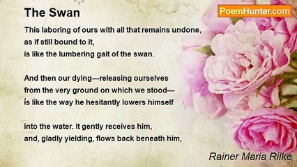 Rainer Maria Rilke - The Swan