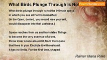 Rainer Maria Rilke - What Birds Plunge Through Is Not The Intimate Space