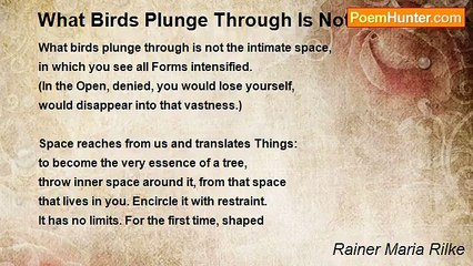Rainer Maria Rilke - What Birds Plunge Through Is Not The Intimate Space