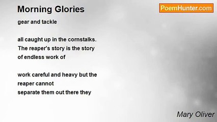 Mary Oliver - Morning Glories