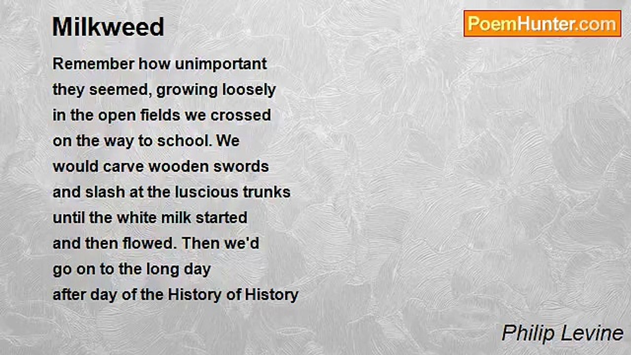 Philip Levine - Milkweed