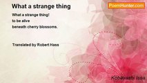 Kobayashi Issa - What a strange thing