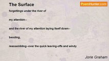 Jorie Graham - The Surface