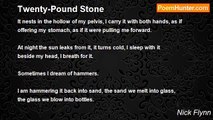Nick Flynn - Twenty-Pound Stone