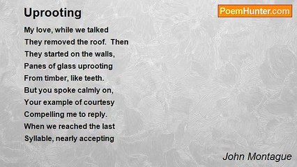 John Montague - Uprooting