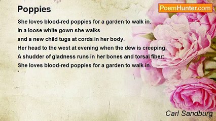 Carl Sandburg - Poppies