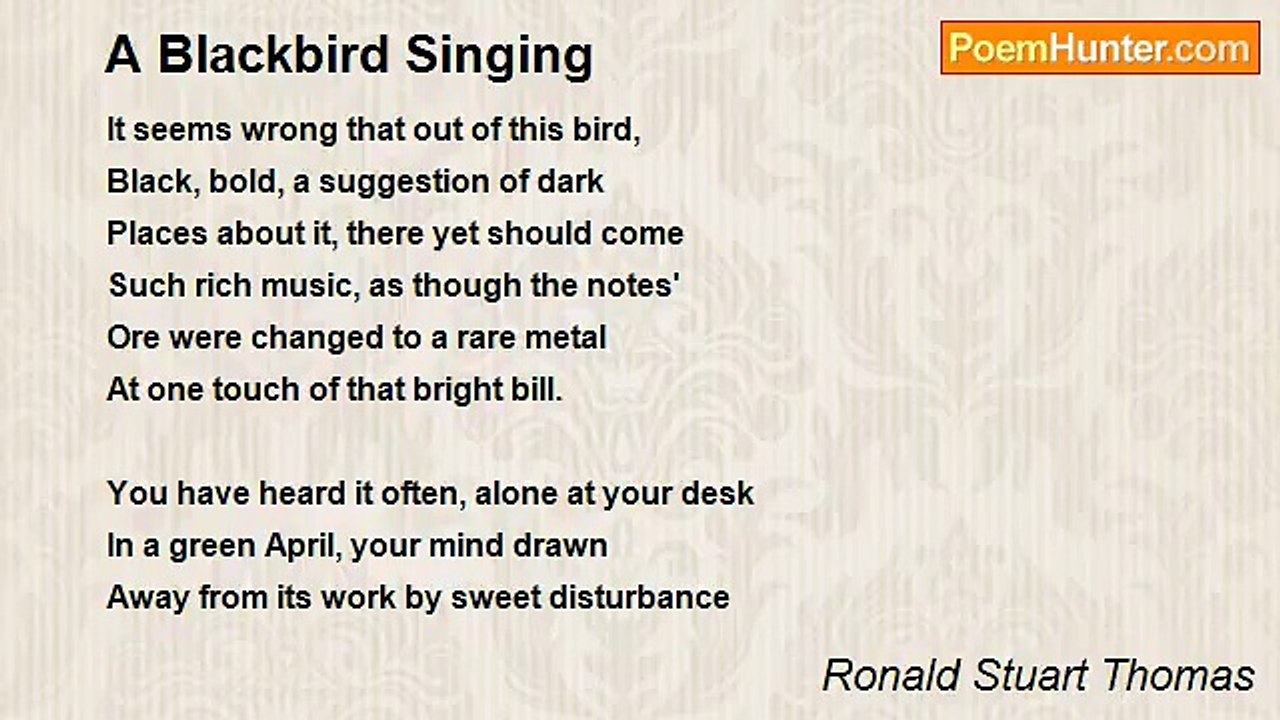 Ronald Stuart Thomas - A Blackbird Singing