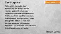 William Barnes - The Surprise