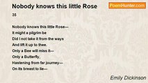 Emily Dickinson - Nobody knows this little Rose