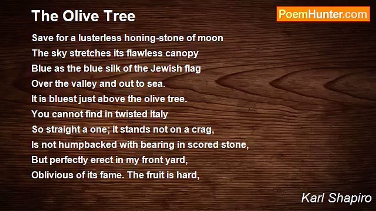 Karl Shapiro - The Olive Tree