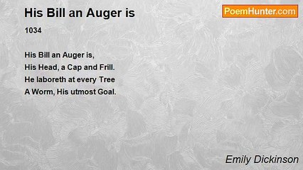 Emily Dickinson - His Bill an Auger is