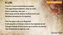 Sylvia Plath - A Life
