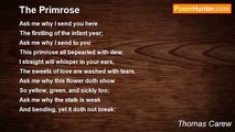 Thomas Carew - The Primrose