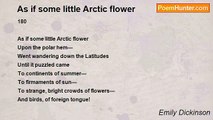 Emily Dickinson - As if some little Arctic flower