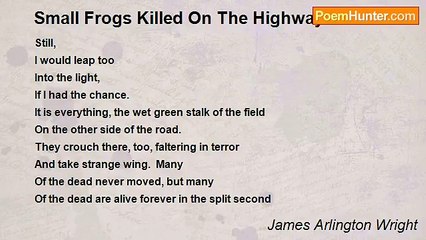 James Arlington Wright - Small Frogs Killed On The Highway