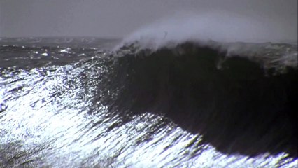 Quiksilver In Memory of Eddie Aikau 2014