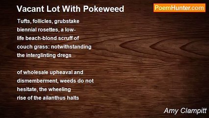 Amy Clampitt - Vacant Lot With Pokeweed
