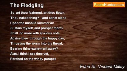 Edna St. Vincent Millay - The Fledgling