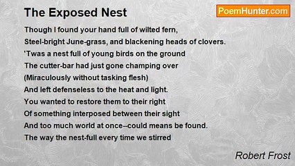 Robert Frost - The Exposed Nest