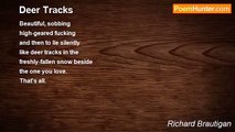 Richard Brautigan - Deer Tracks