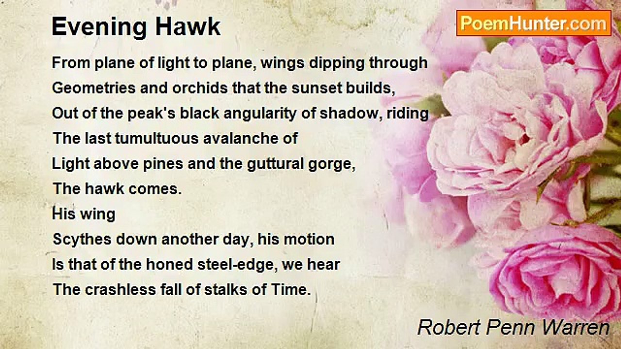 Robert Penn Warren - Evening Hawk