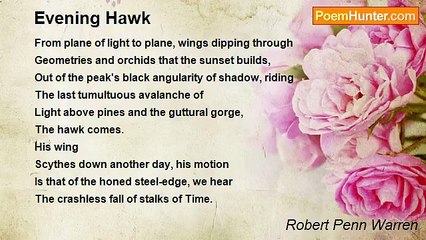 Robert Penn Warren - Evening Hawk