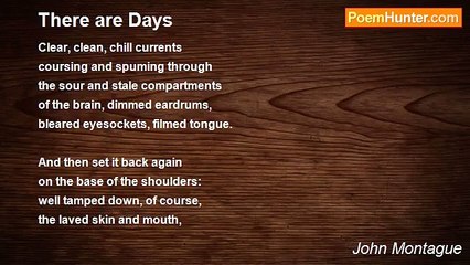 John Montague - There are Days