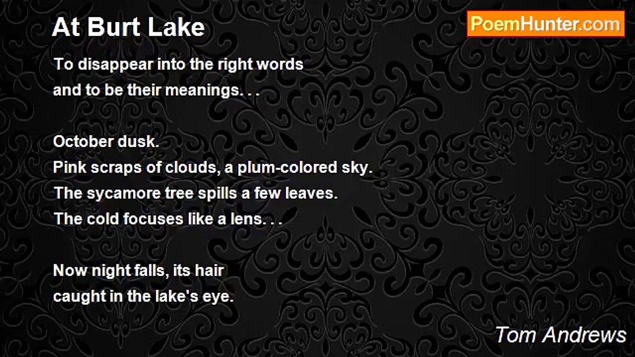 Tom Andrews - At Burt Lake