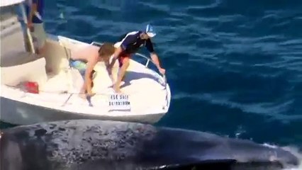 Surfeur Australien se retrouve piégé en escaladant une carcasse de baleine