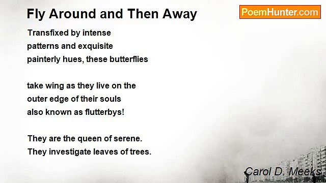 Carol D. Meeks - Fly Around and Then Away